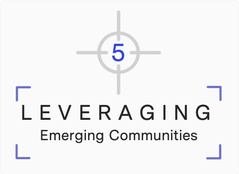 Focus 5: Leveraging emerging communities