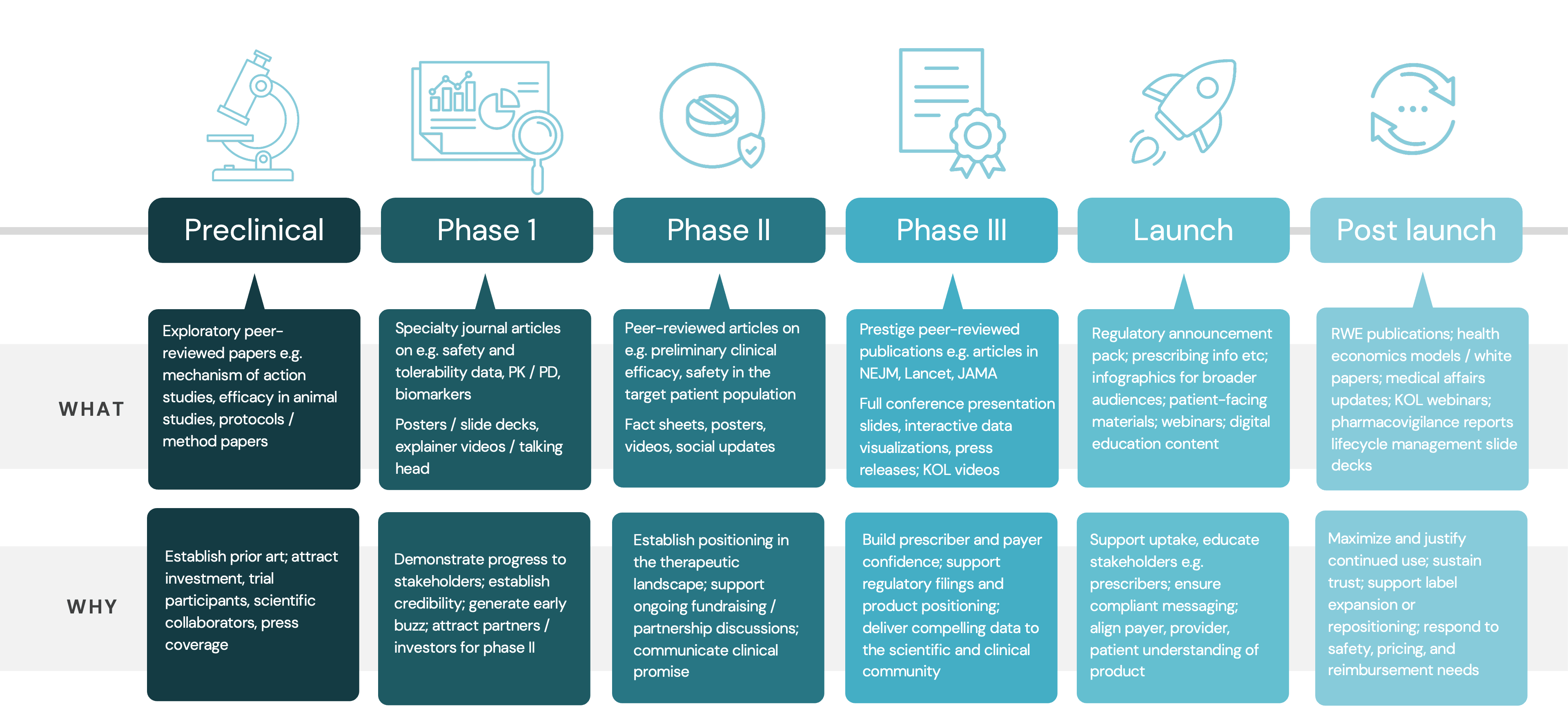 Kudos_pharma_lifecycle