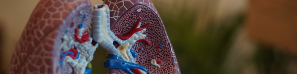 KUDOS_Newsletter_lung Cancer_nov2022