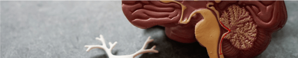 neuroimaging
