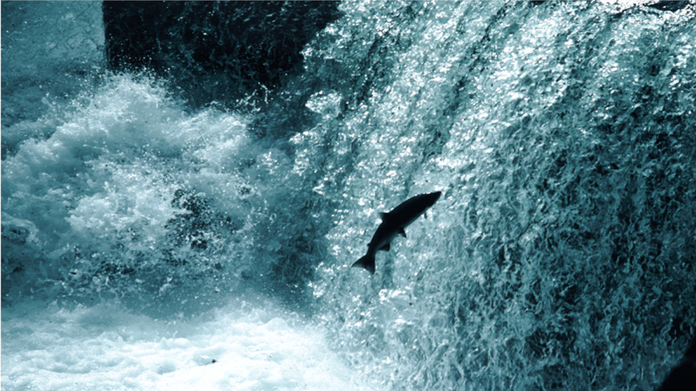 upstream_image